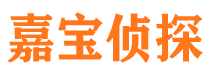 三元市私家侦探